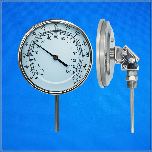 Adjustable angle thermometer